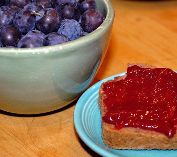 Vanilla Plum Jam Punchfork
