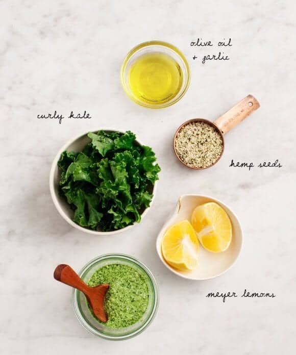 Hemp Seed & Kale Pesto Punchfork