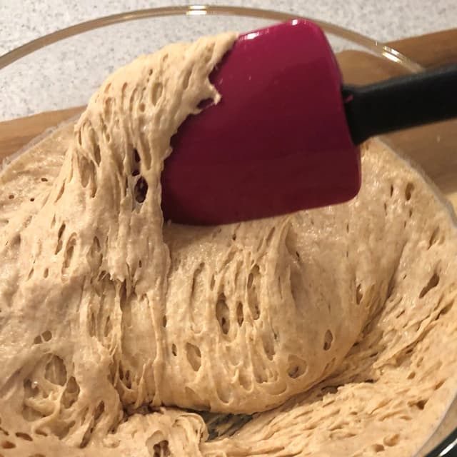 WholeWheat Sourdough Starter Punchfork