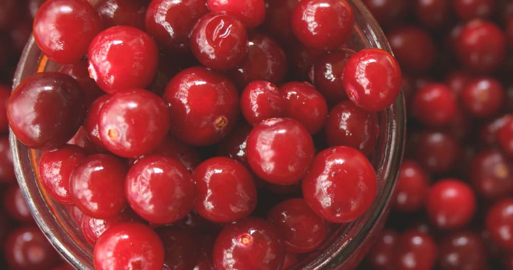 Frozen Cranberries (Other Great Alternatives) Punchfork