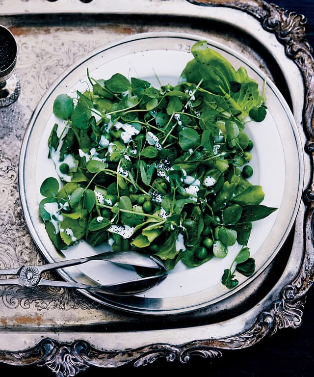 Fava Bean and Pea Salad with Poppy Seed Dressing Punchfork