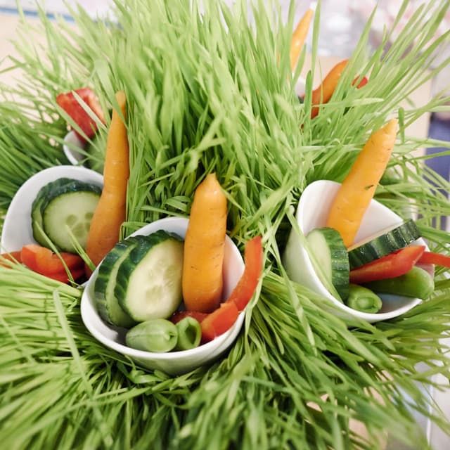 Veggie Forest with Parmesan Ranch Dip | Punchfork