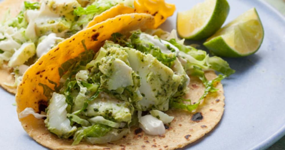 Halibut Fish Tacos with Cilantro Savoy Slaw Punchfork