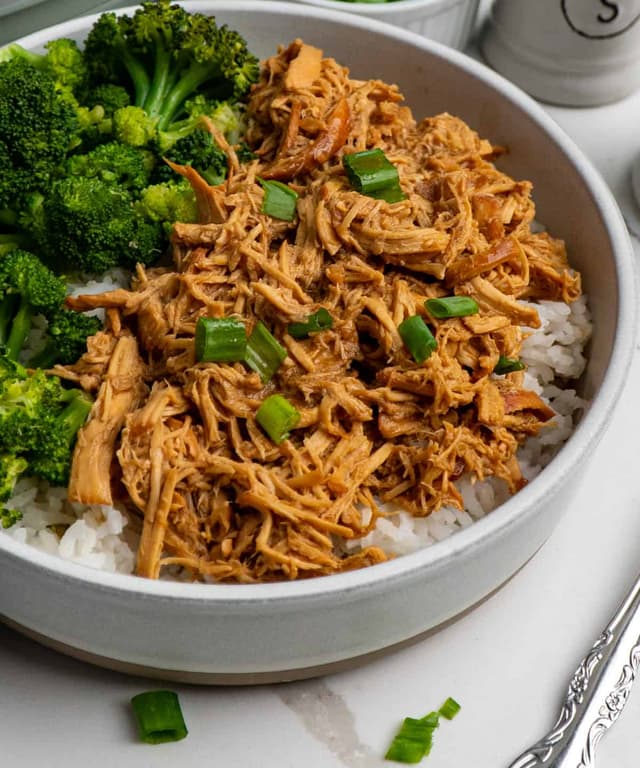 Slow Cooker Honey Garlic Chicken Punchfork