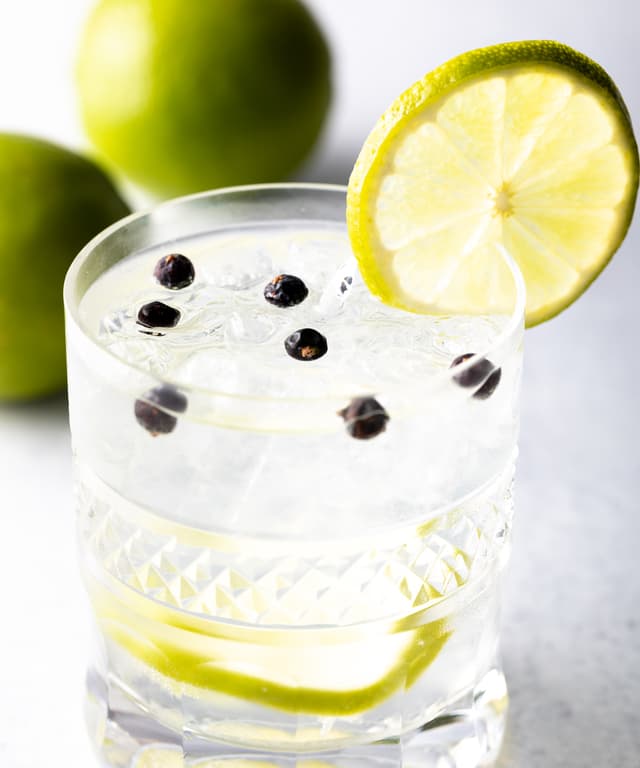 The Best Gin and Tonic Punchfork