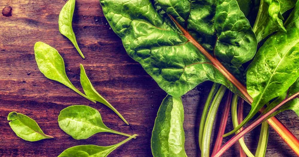 Fermented Swiss Chard Stems Punchfork