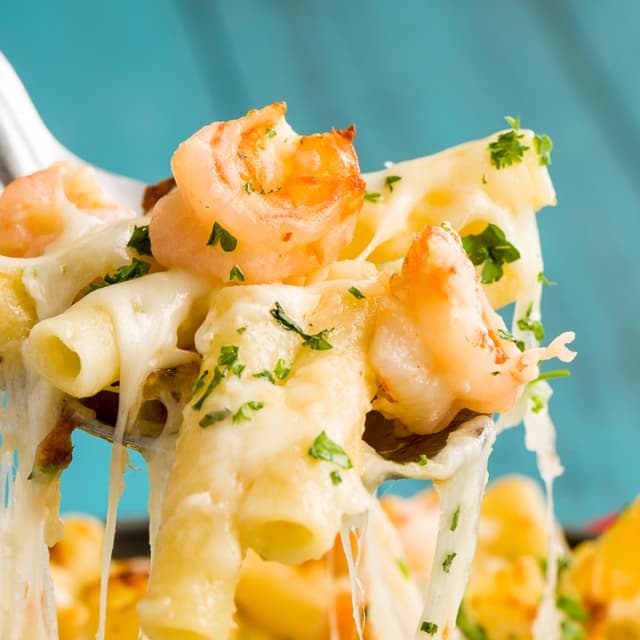 Garlicky Shrimp Alfredo Bake Punchfork