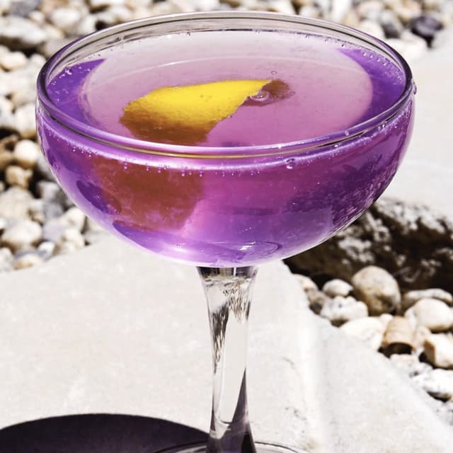 Empress Gin Fizz Punchfork