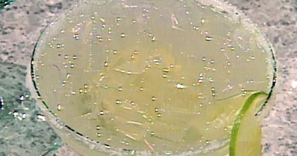 Tin Can Margaritas Punchfork