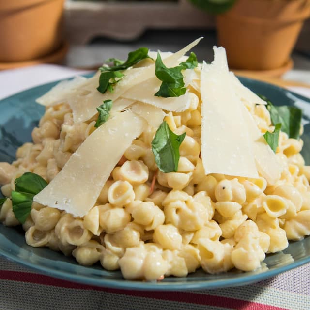 Baby Shells Bechamel | Punchfork