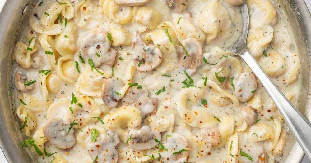 Cheese Tortellini Alfredo Punchfork