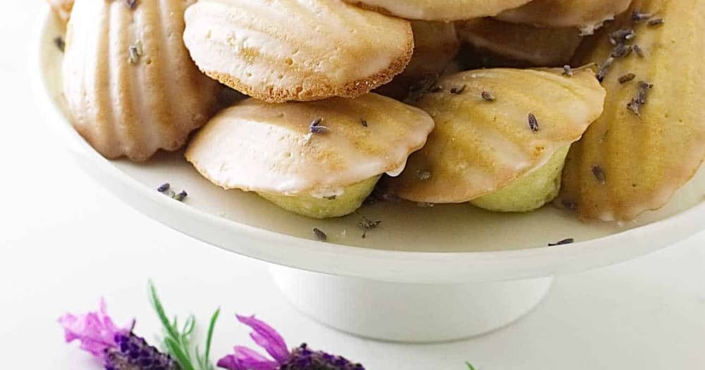 lavender-madeleine-tea-cakes-punchfork