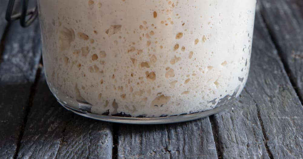 Matura Sourdough Starter Culture – 100+ Years Old Italia - Foto 8