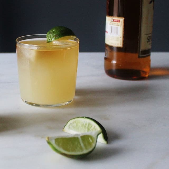 Homemade Alcoholic Ginger Beer | Punchfork
