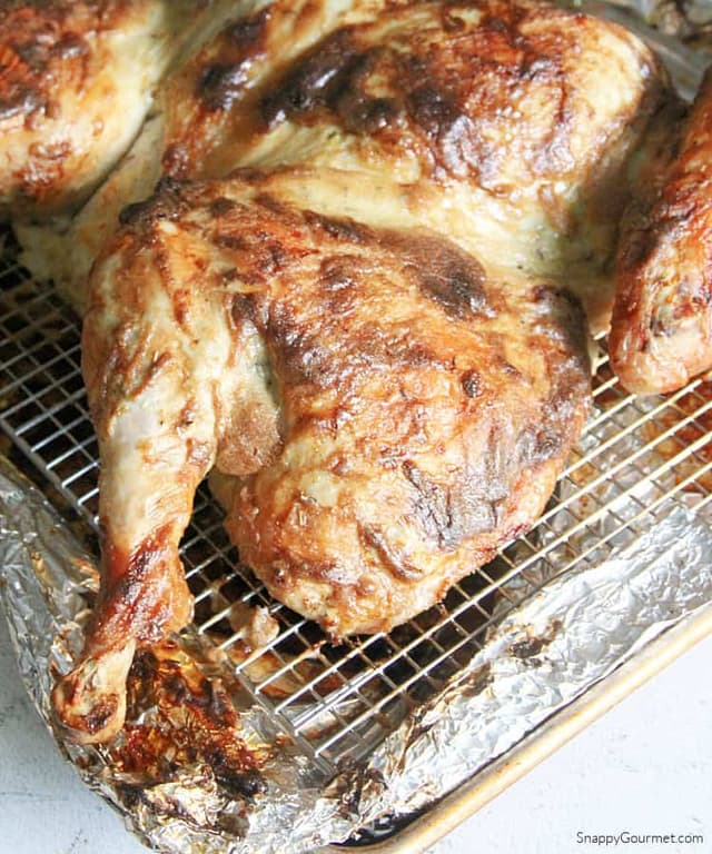 roasted-turkey-punchfork