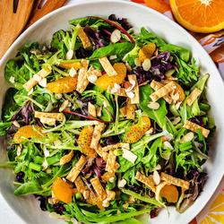 mandarin orange sesame ginger dressing DRESSING MANDARIN ORANGE 4-1GAL KENS